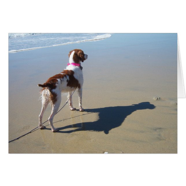 BRITTANY PÅ BEACH HÄLSNINGSKORT (Framsidan Horizontal)