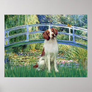 Brittany Spain 3 - Lily Pond Bridge Poster