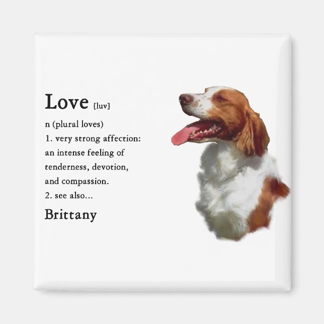 Brittany Spain Gifts Magnet (Framsidan)