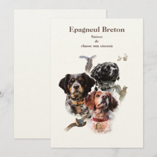 Brittany Spain Inbjudningar