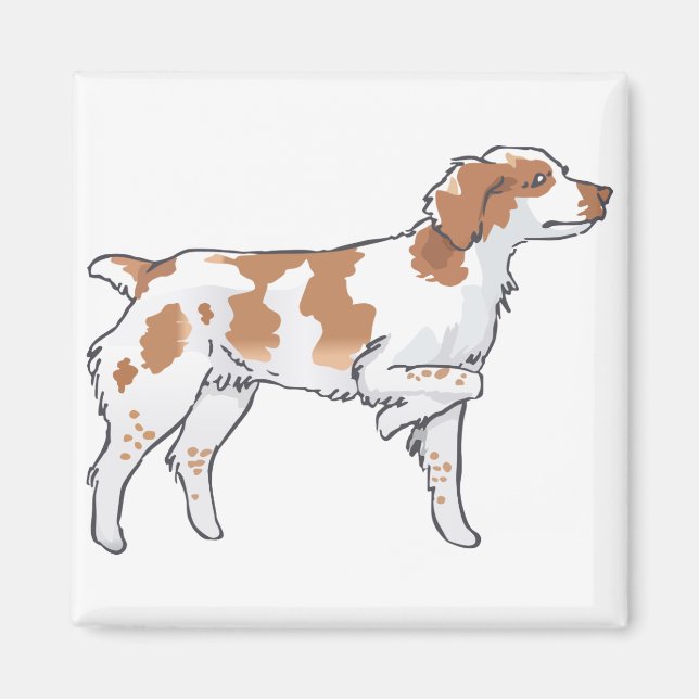 Brittany Spain Magnet (Framsidan)
