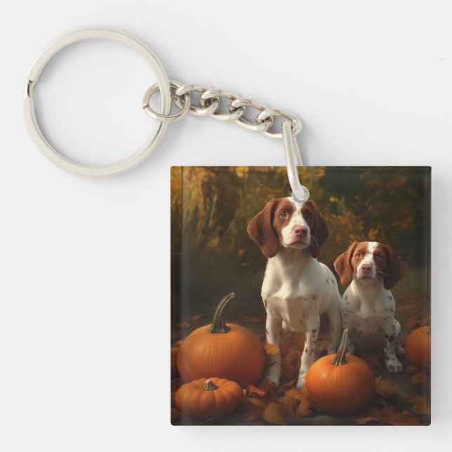 Brittany Spain Puppy Autumn Delight Pumpkin (Framsidan)