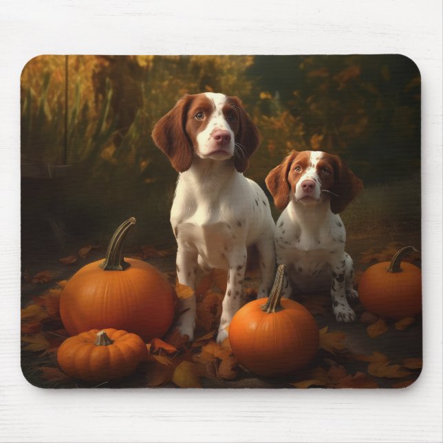 Brittany Spain Puppy Autumn Delight Pumpkin Musmatta (Framsidan)