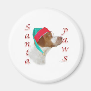 Brittany Spain Santa Tassar Magnet