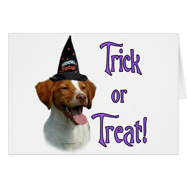 Brittany Spain Trick Hälsningskort (Framsidan Horizontal)