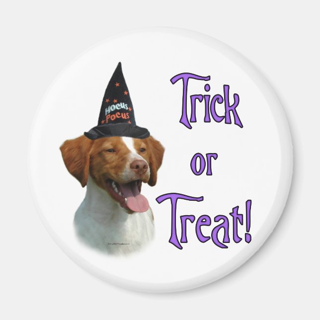 Brittany Spain Trick Magnet (Framsidan)