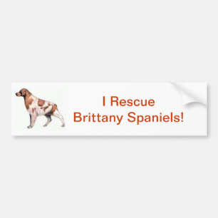 Brittany Spaniel Bildekal
