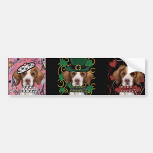 Brittany Spaniel Bildekal