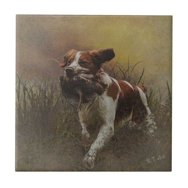 Brittany spaniel Ceramic Tile Kakelplatta (Framsidan)