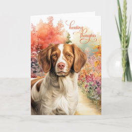 Brittany Spaniel Hund Färgglad Trädgårdsväg Återhä Kort