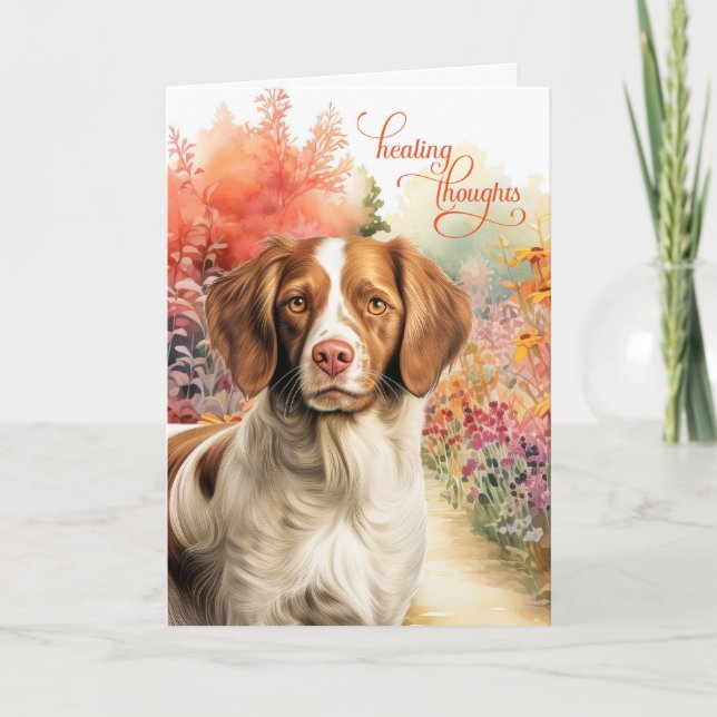 Brittany Spaniel Hund Färgglad Trädgårdsväg Återhä Kort (Framsida)