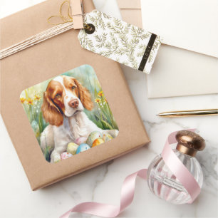 Brittany Spaniel Hund med påskägg Semester Fyrkantigt Klistermärke