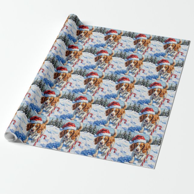 Brittany Spaniel Hund Pekar på Julgodis Presentpapper (Utrullad)