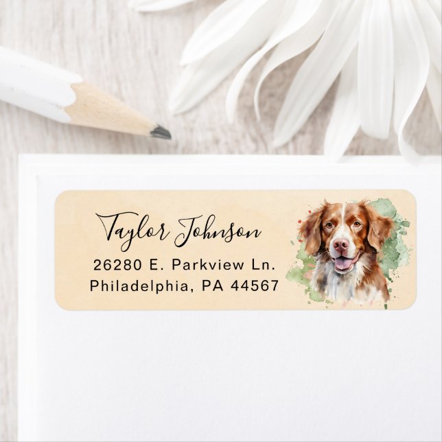 Brittany Spaniel Hund Returadressetikett Returadress Etikett (Insitu)
