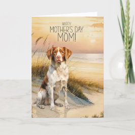 Brittany Spaniel Hund Solnedgång Strand Mors Dag Helgkort