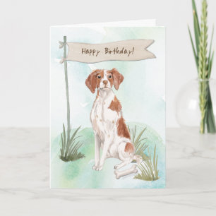 Brittany Spaniel Hund Under Födelsedag Skylt Kort