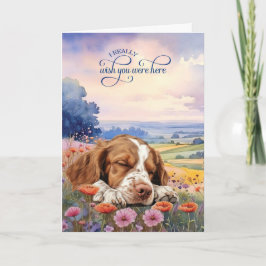 Brittany Spaniel Hund Vildblommor Saknar Dig Kort