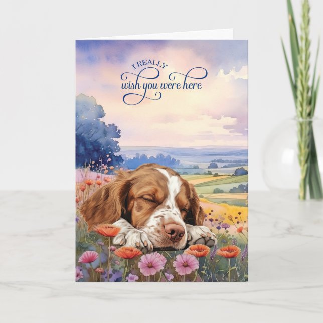 Brittany Spaniel Hund Vildblommor Saknar Dig Kort (Framsida)