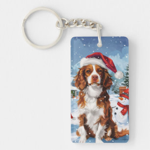 Brittany Spaniel Hund Vinter Värld Jul