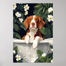 Brittany Spaniel I Badkar Affisch, Rolig Hund