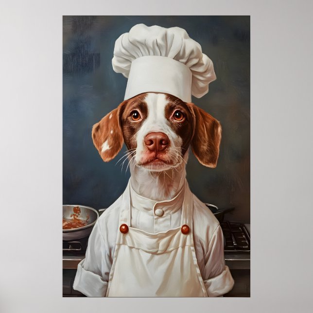 Brittany Spaniel In Chefs Hat Poster, Pet Poster (Framsidan)
