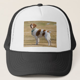 Brittany Spaniel Keps