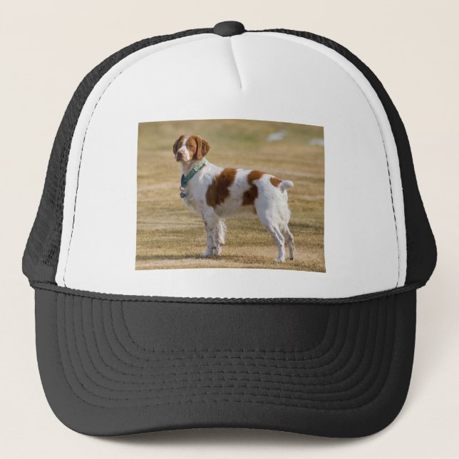 Brittany Spaniel Keps (Framsida)