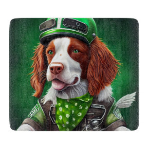 Brittany Spaniel kör cykel St. Patrick's Day