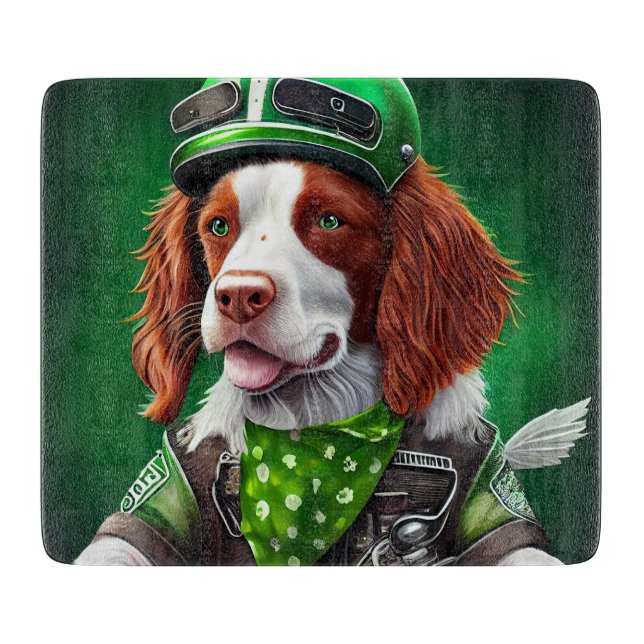 Brittany Spaniel kör cykel St. Patrick's Day (Framsidan)