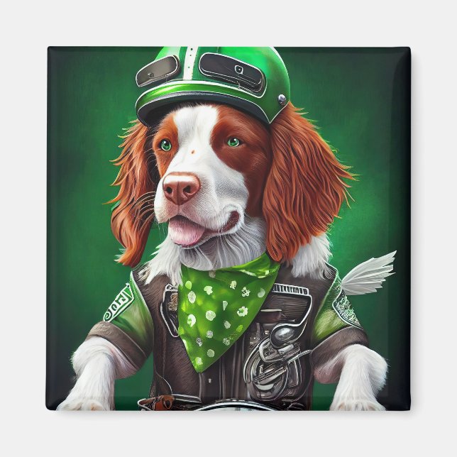 Brittany Spaniel kör cykel St. Patrick's Day  Magnet (Framsidan)