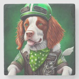 Brittany Spaniel kör cykel St. Patrick's Day Stenunderlägg