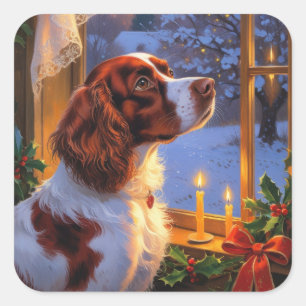 Brittany Spaniel med julbelysning Holiday  Fyrkantigt Klistermärke
