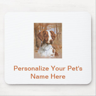 Brittany Spaniel Musmatta