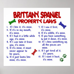 BRITTANY SPANIEL PL2 POSTER