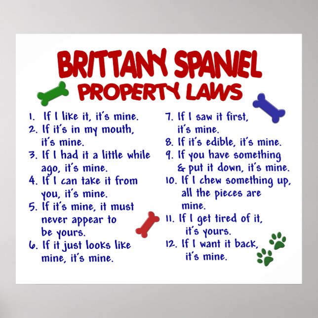 BRITTANY SPANIEL PL2 POSTER (Framsidan)