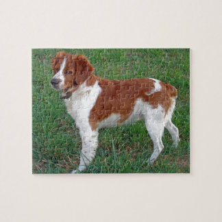 Brittany Spaniel Pussel