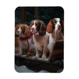 Brittany Spaniel Snöig släde Juldekoration Magnet