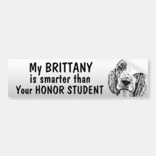Brittany Spaniel - som är mer smart än student - Bildekal