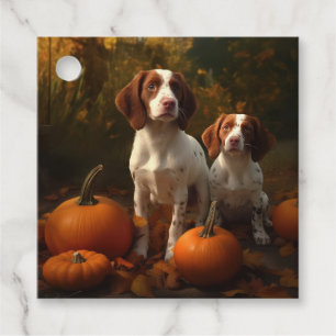 Brittany Spaniel Valp Höstglädje Pumpa Gåvor Etiketter