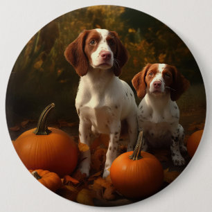 Brittany Spaniel Valp Höstglädje Pumpa Knapp