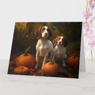 Brittany Spaniel Valp Höstglädje Pumpa Kort