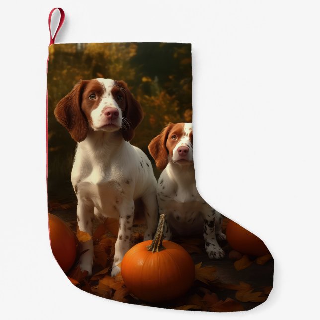 Brittany Spaniel Valp Höstglädje Pumpa  Liten Julstrumpa (Framsidan)