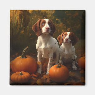 Brittany Spaniel Valp Höstglädje Pumpa Magnet