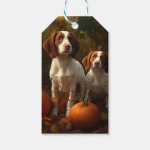Brittany Spaniel Valp Höstglädje Pumpa Presentetikett
