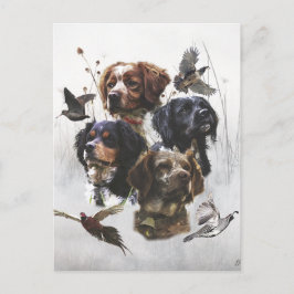 Brittany Spaniels, Fågelfaktasäsong Vykort