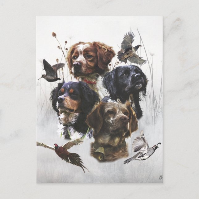 Brittany Spaniels, Fågelfaktasäsong Vykort (Framsida)