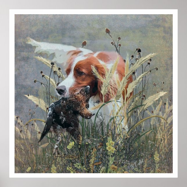 Brittany Spaniels, Fågeljaktssäsong Poster (Framsidan)