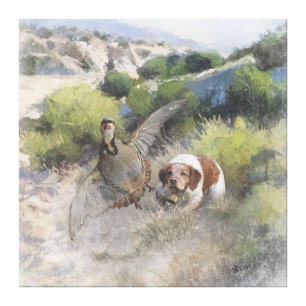Brittany Spansk jaktchukar partridge, Art Canvastryck