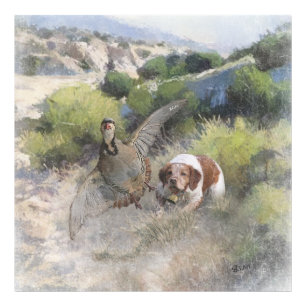 Brittany Spansk jaktchukar partridge, Art Fototryck