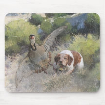 Brittany Spansk jaktchukar partridge, Art